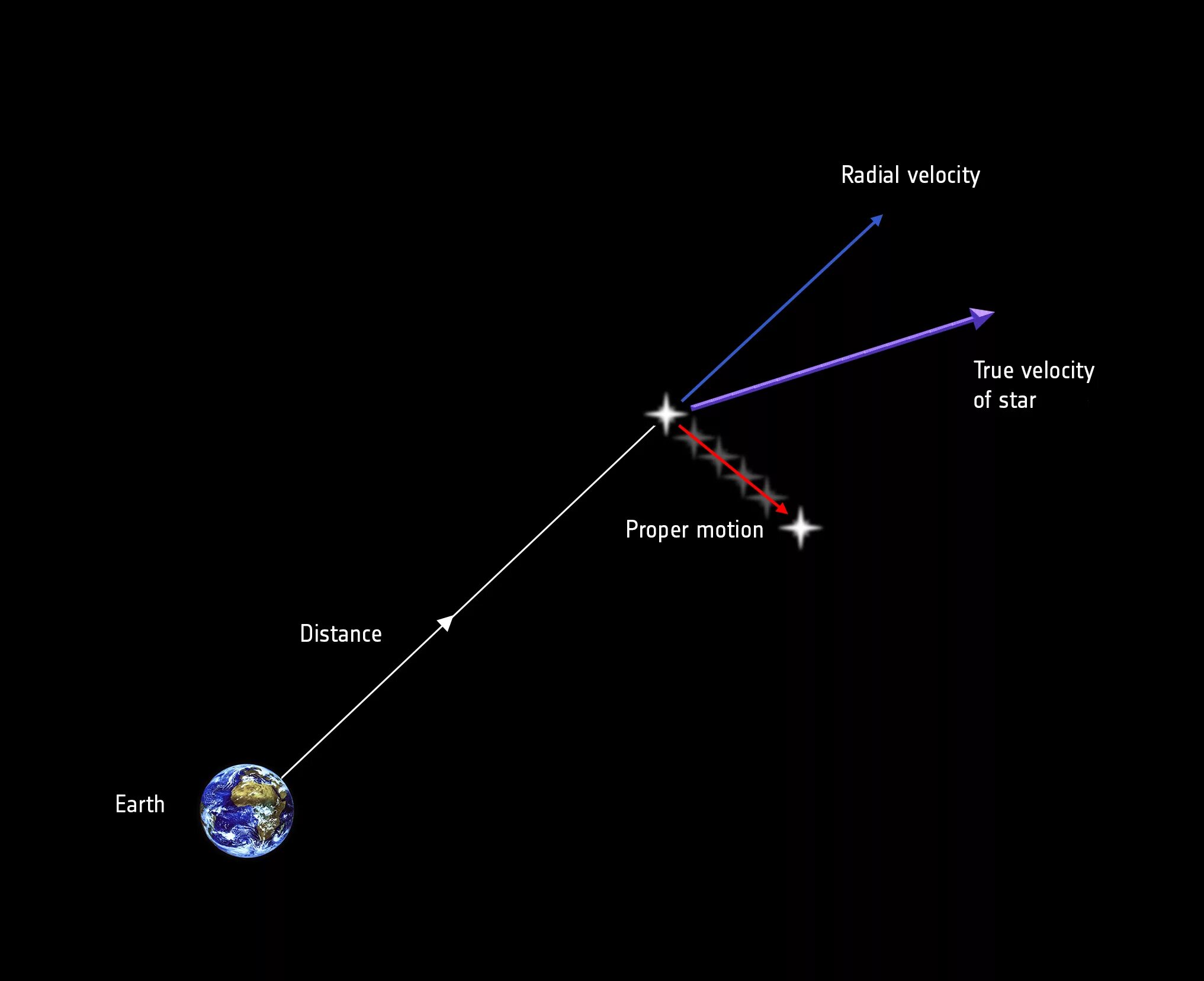 Собственное движение звезды. Что такое собственное движение в астрономии. Radial Velocity. Звезда высокого собственного движения. Направление движения звезд