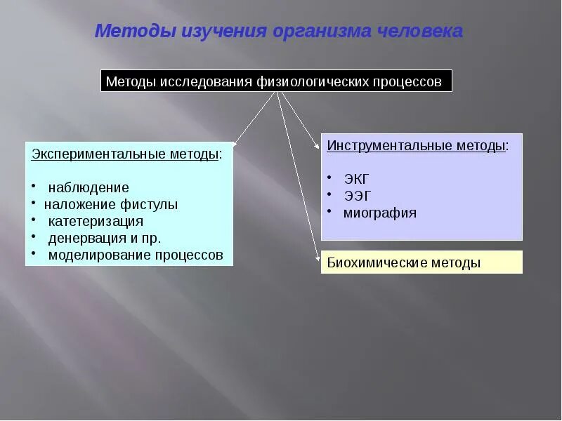 Исследования тела человека. Методы изучения. Методы изучения организма человека. Методы изучения организма человека таблица. Методы изучения тела человека.