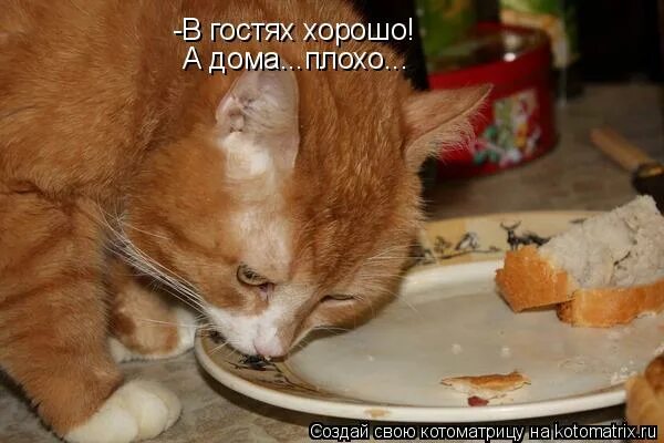Гости разошлись прикольные цитаты. Веселые конкурсы на свадьбу. Гости разъехались прикол. Завершение приема. Бугага приколы.