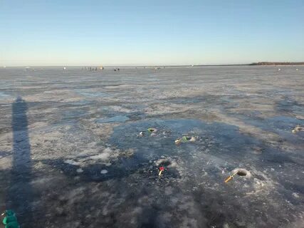 Температура финского залива летом