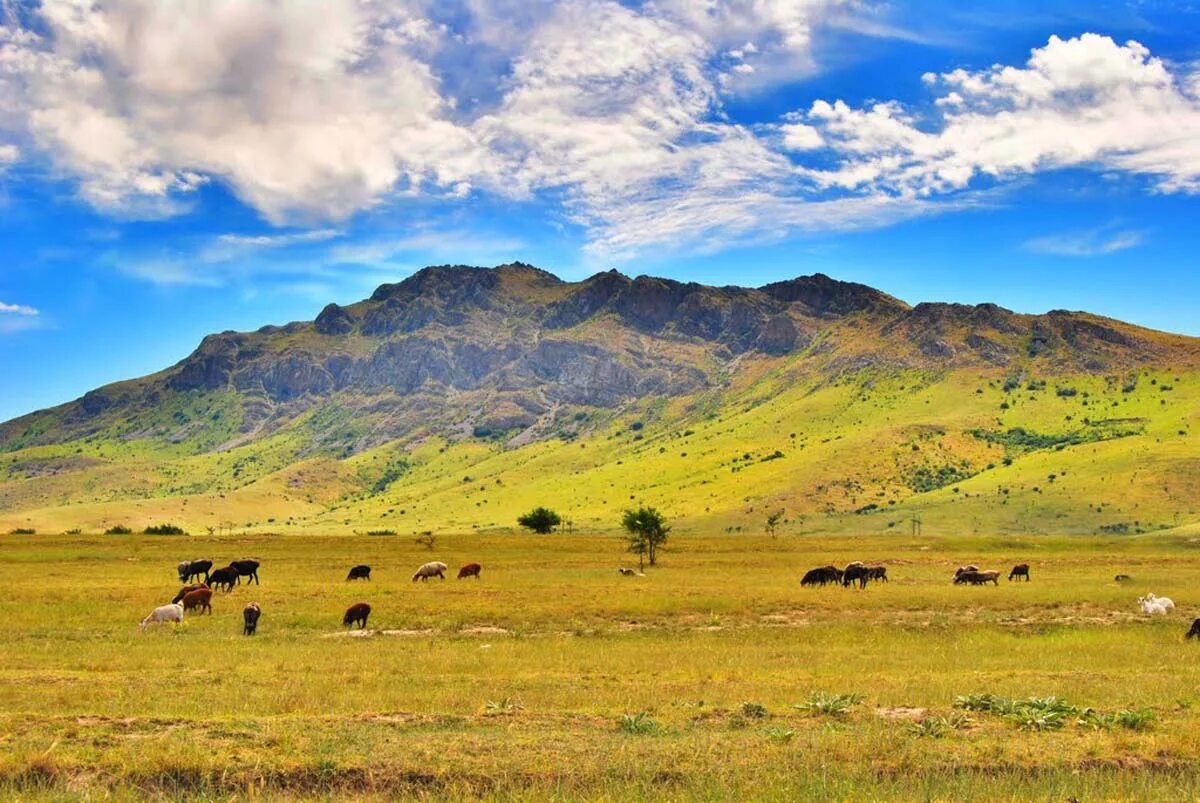 далы. природа кыргызстана юрта горы. жайлау. киргизия равнина. пустыня кызылкум красные пески.