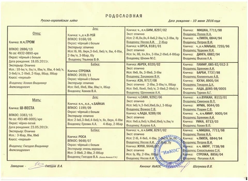 Найти родословную собаки. Найти родословную собаки