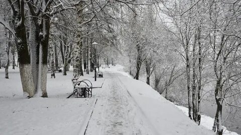 Фото зимы 2023