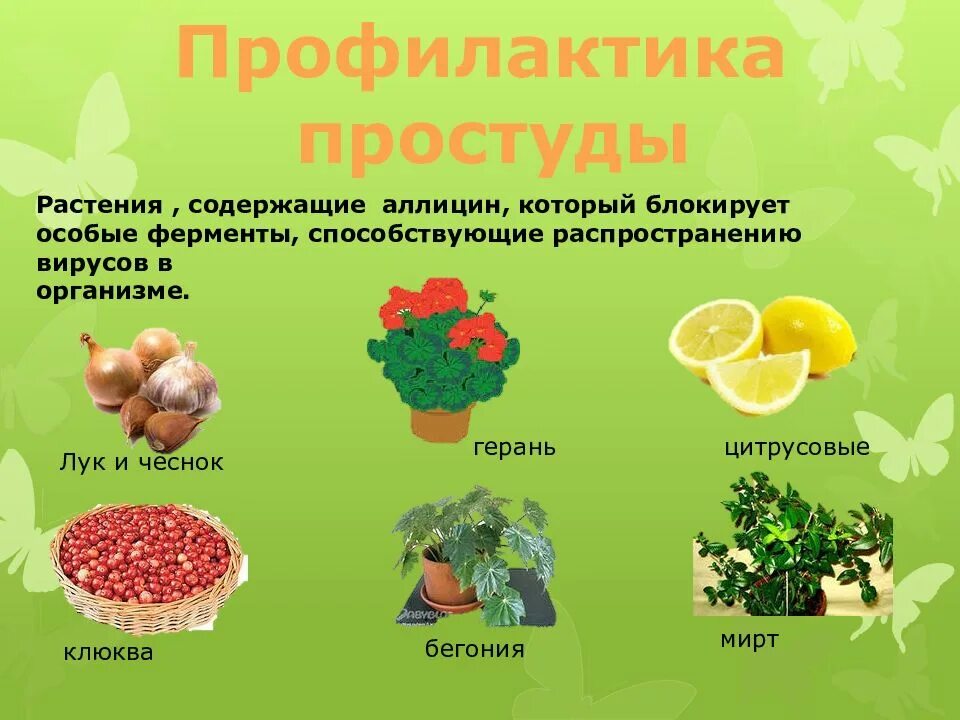 Содержится и в растительных и