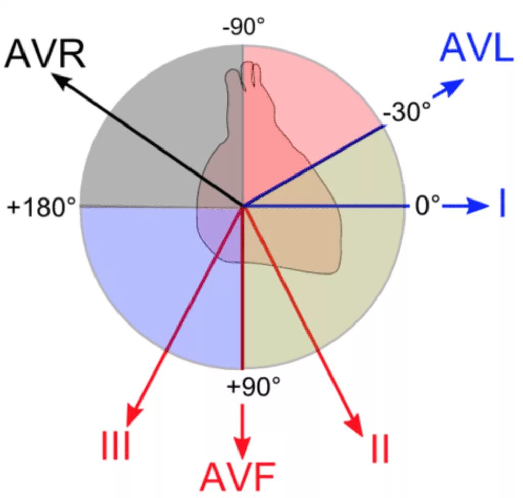 Mean axis. Электрическая ось сердца. ось сердца на экг. эос экг. ecg axis.