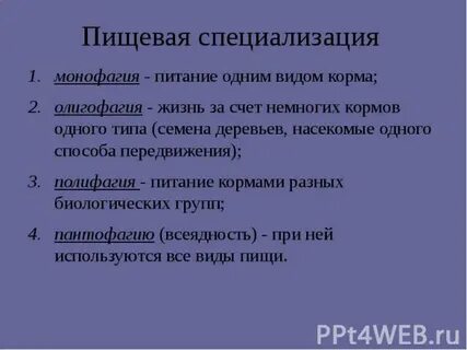 Пищевая специализация примеры