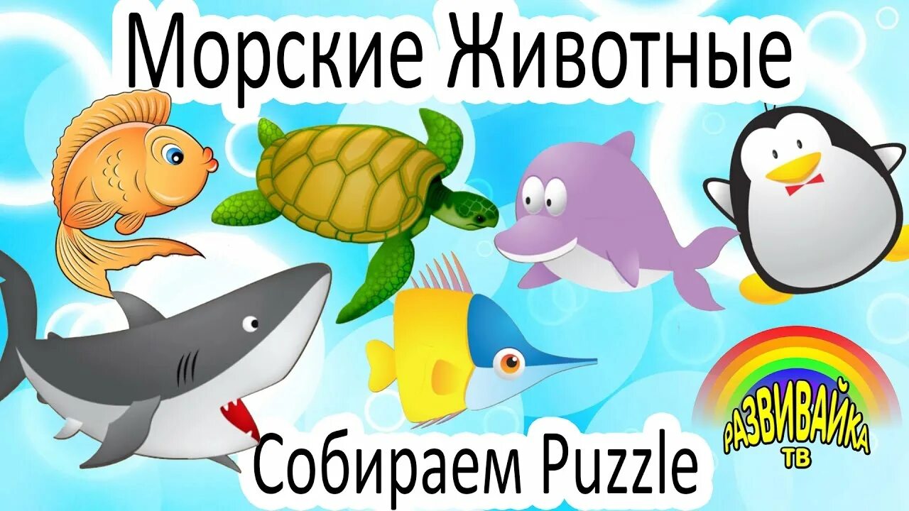 Изучаем морских
