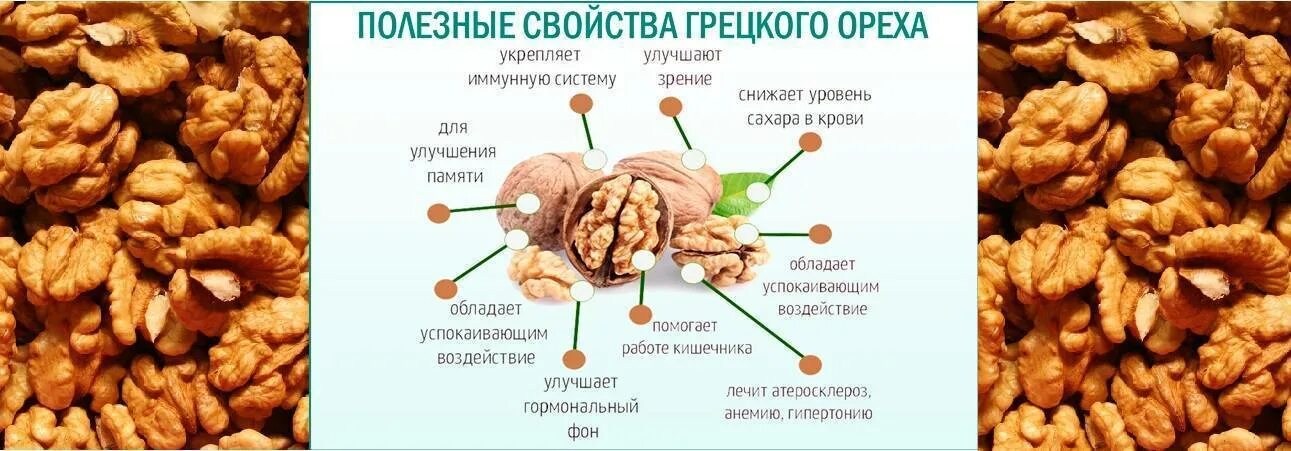 Чем полезны грецкие орехи для человека