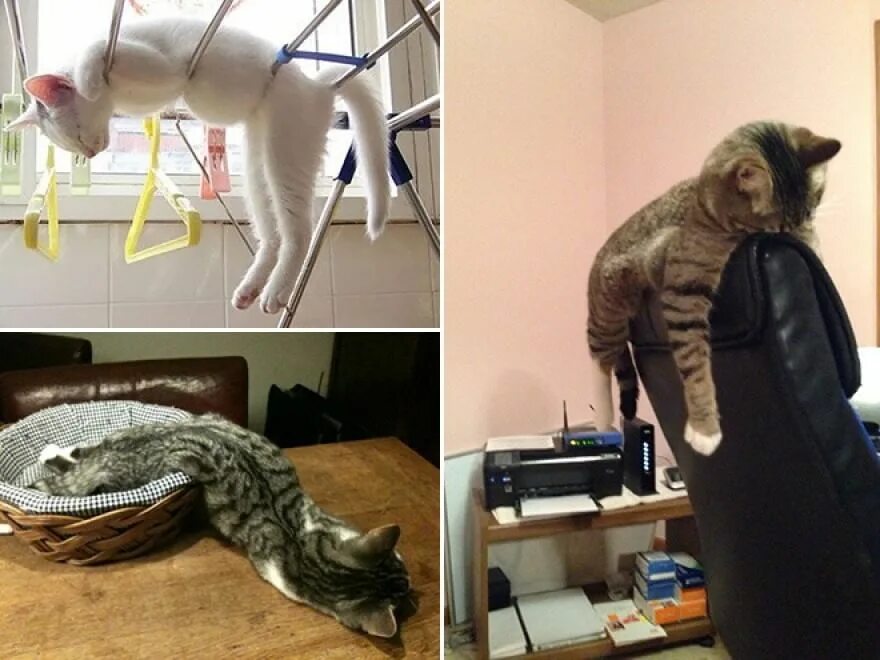 Слишком ленивый