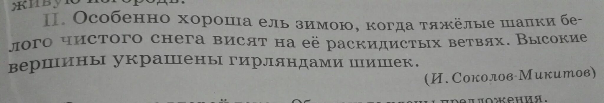 Хороша ель зимой тяжелые шапки. Текст особенно хороша ель зимой. хороша ель зимой тяжелые шапки чистого снега висят. хороша ель зимой тяжелые. особенно хороша ель зимой когда тяжелые.