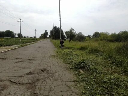 Карта красного луча лнр