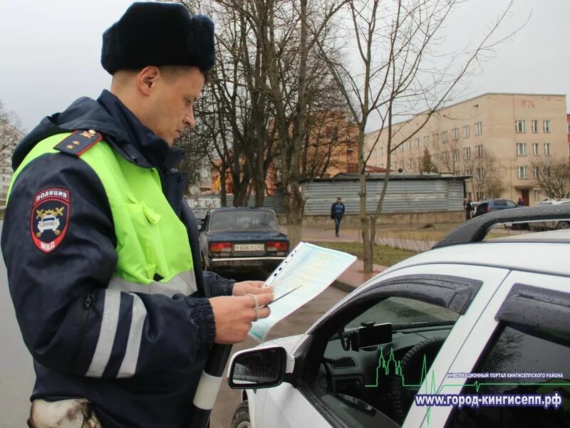 Кингисепп спортивный зал юность. Центр занятости кингисепп. Еврохим северо-запад кингисепп. Взрослая поликлиника кингисепп. Канцпарк кингисепп.