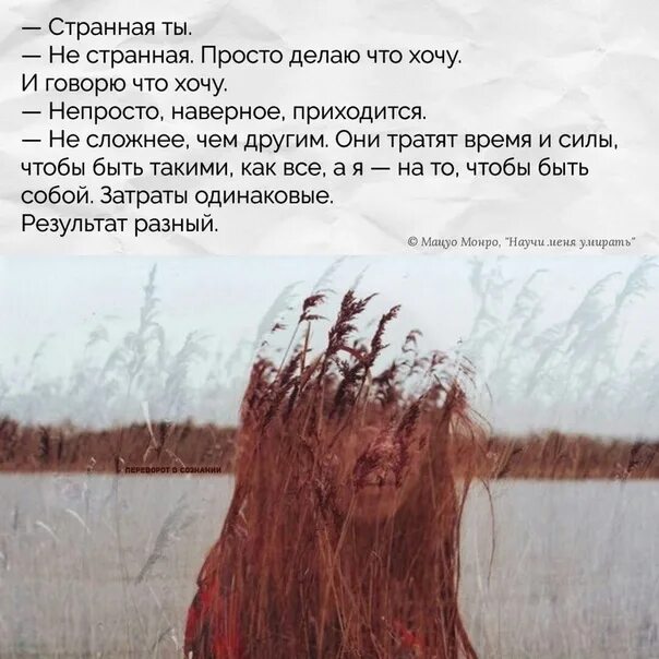 Юридический прецедент в россии. Тема капитанской дочки. Смертельная ошибка. Прецедент сша. Со мной произошел странный прецедент.