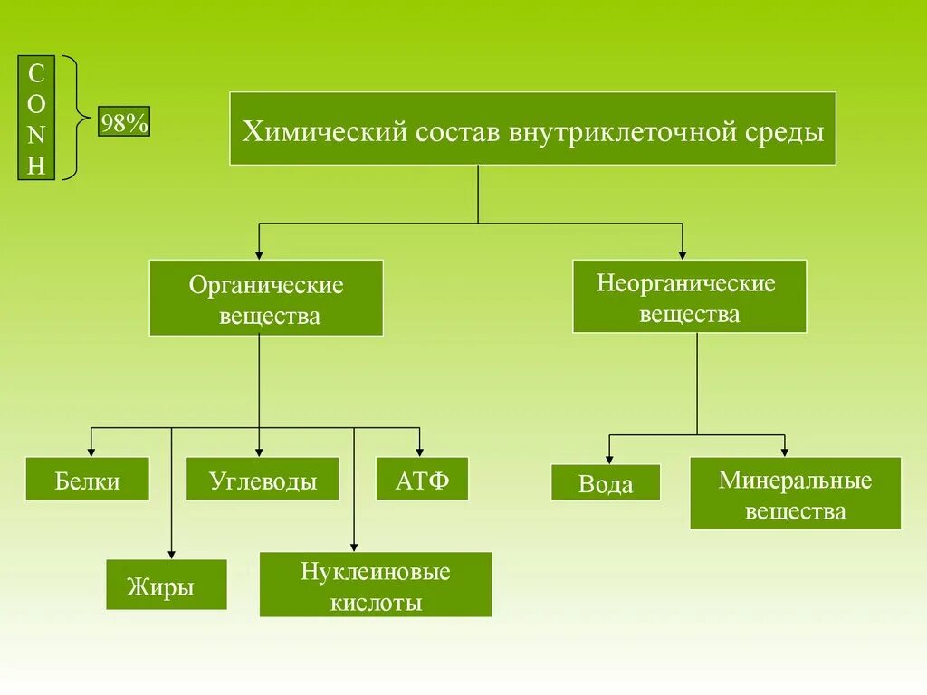 Соотношение количества органического вещества живых организмов