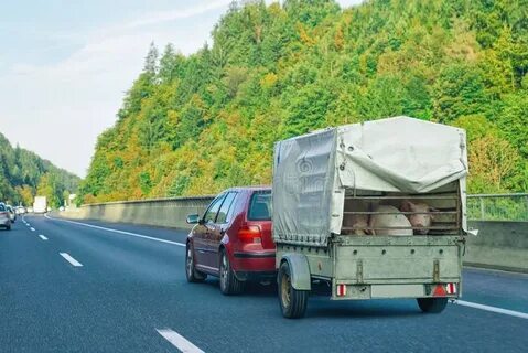 Carry car
