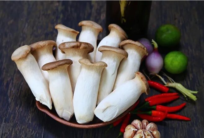 Grey Oyster Mushroom (Pleurotus ostreatus) Identification