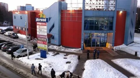 Тц лес