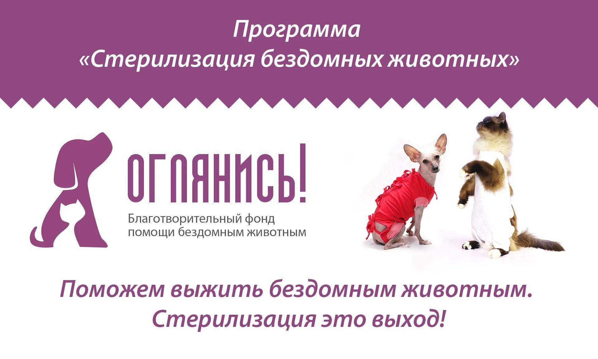Приложение помощь животным