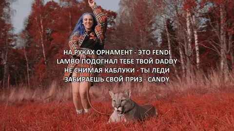 Песня олень миа бойка
