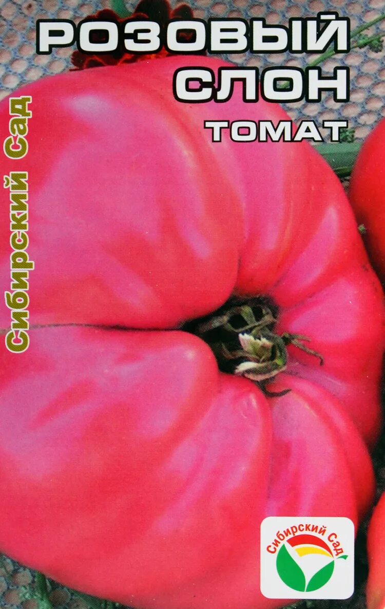 Сорт томатов розовый слон. Томат розовый слон 20шт. томат сорт розовый слон. семена томат розовый слон. сибирский слон томаты.