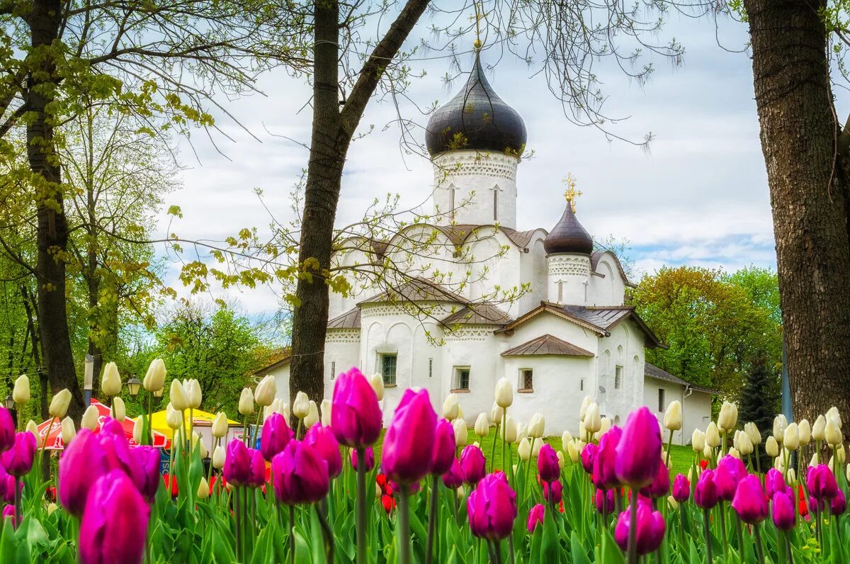 нерехта женский монастырь цветник. весенний храм. пейзаж вологды спасо прилуцкий. спасо-прилуцкий монастырь ранней весной. муром-дивеево экскурсия.