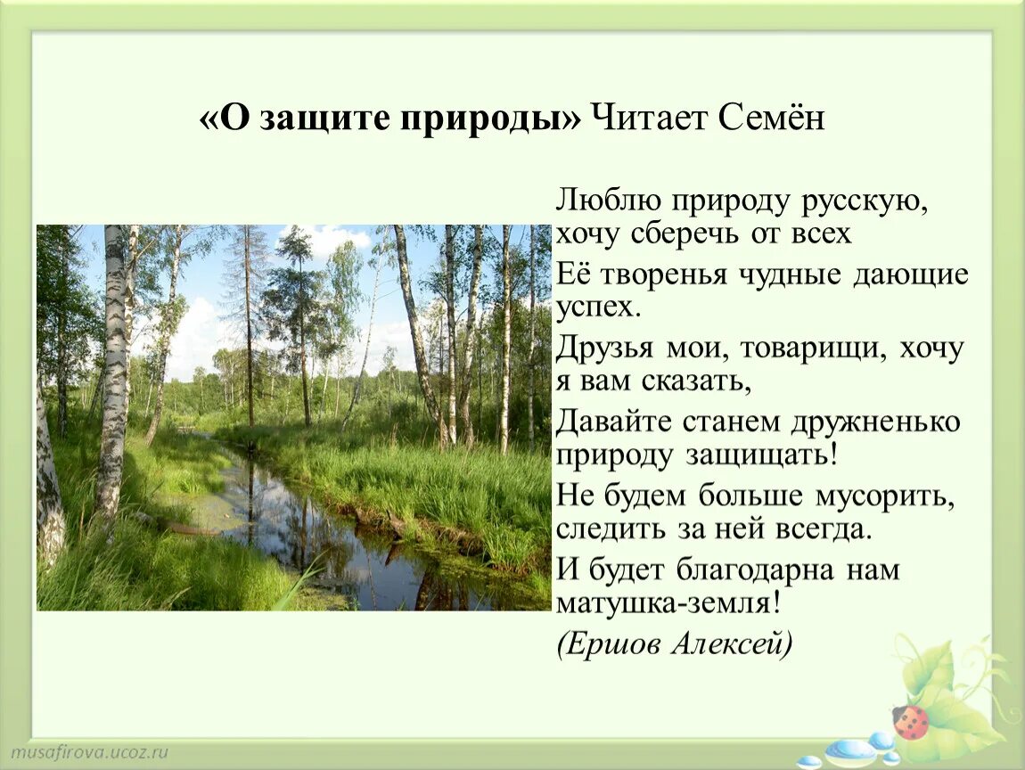 Что по вашему любить природу. Люблю природу русскую. Люблю природу русскую стихотворение. Стих про природу люблю природу больше жизни. Люблю природу русскую хочу сберечь от всех.