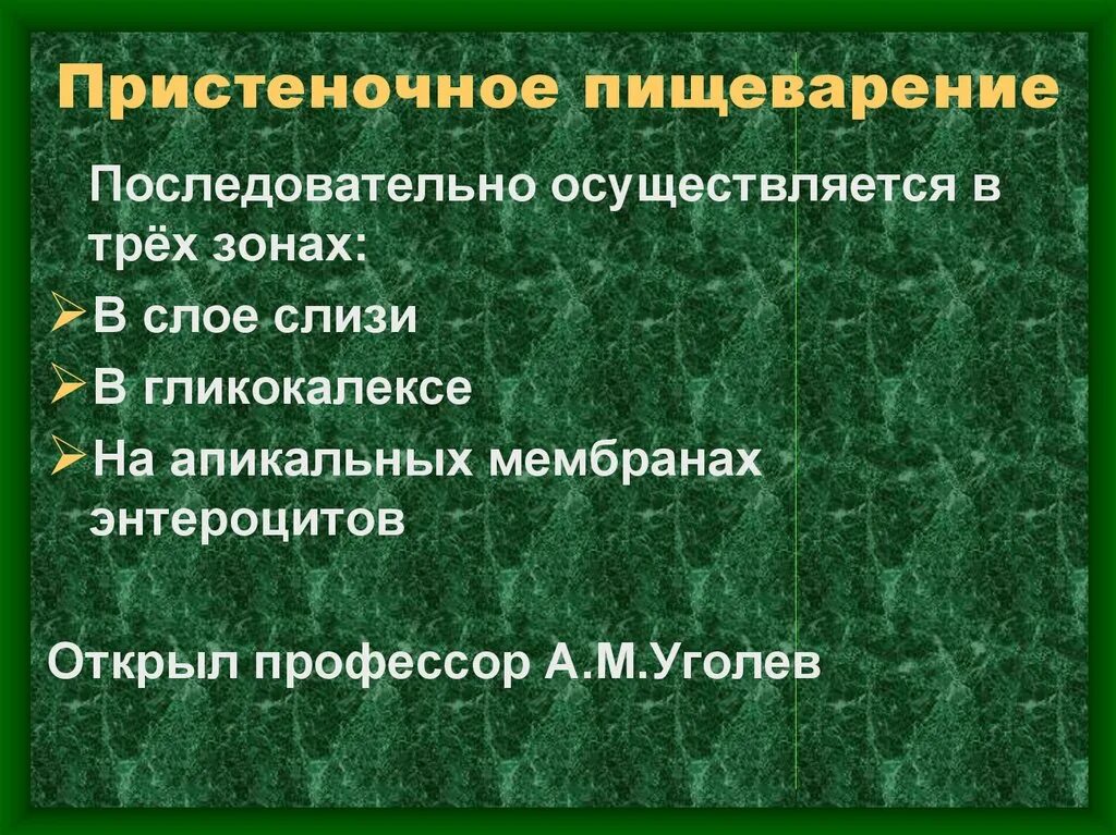 Что такое пристеночное пищеварение. Пристеночное пищеварение. Уголев пристеночное пищеварение. Методы изучения пристеночного мембранного пищеварения. Мембранное пищеварение осуществляют в трех зонах.