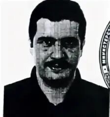 Аль фамилии