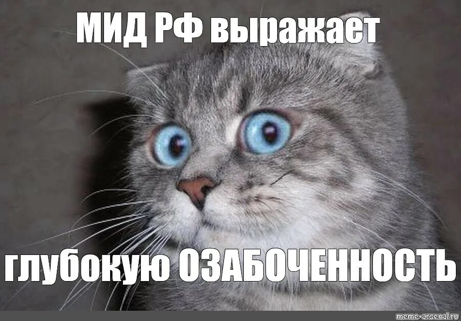Хочу выразить