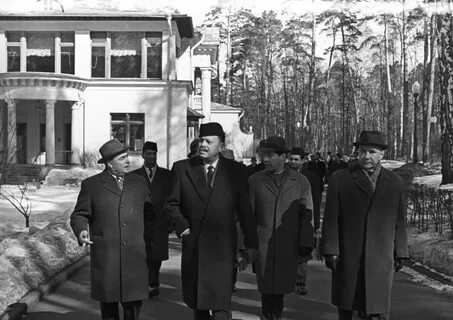 Дача брежнева