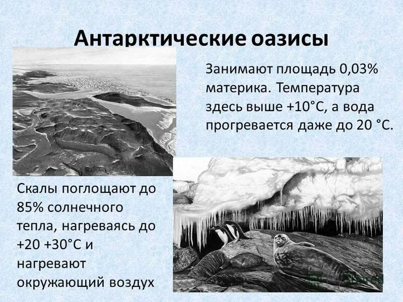 Что такое оазис в антарктиде кратко. Сахара марокко оазис. Сходство оазисов сахары и антарктиды. Эль джуф пустыня. Различия пустыни и арктической пустыни.