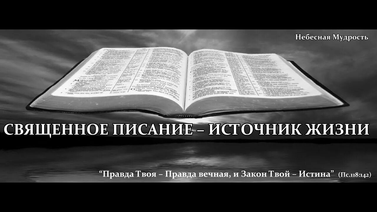 Мудрые изречения святых отцов. Три корзины мудрости в буддизме. Изречения паисия святогорца. Изречения старцев и святых. Высказывания святых отцов.