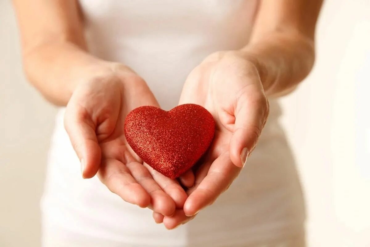 Благотворительная акция. Сердце в руках. Международный день благотворительности. Отдать сердце.