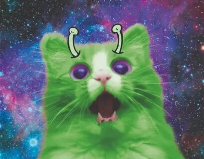 Green alien cat