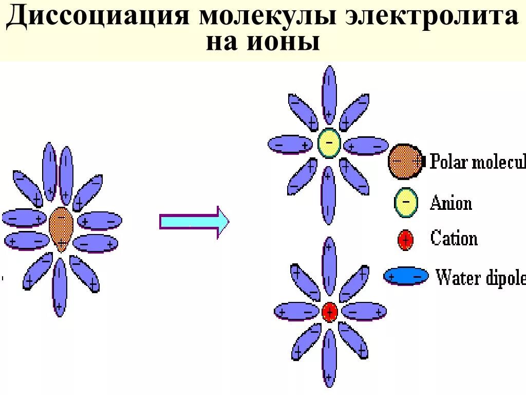 Электролитическая диссоциация. На что диссоциируют соли. Диссоциация молекул. Распад молекул на ионы. Механизм диссоциации веществ с различным типом связи.