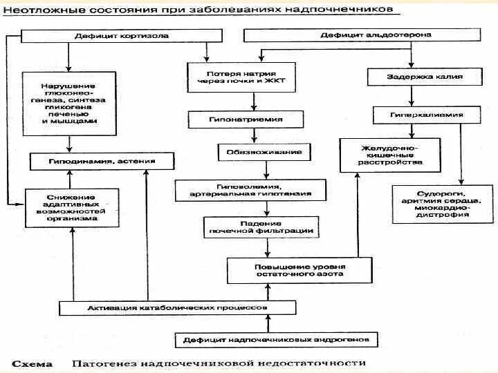 Неотложная эндокринология. Схема диф диагностики неотложных состояний. Неотложные состояния и их классификация. Неотложные состояния в эндокринологии. Механизмы развития неотложных состояний.