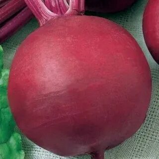 Сорт мулатка