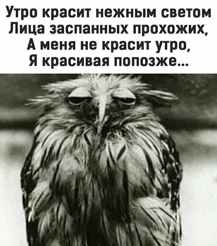 Песни утро красит нежным светом. Утро красит. Утро красит нежным светом лица заспанных прохожих. Утро красит нежным светом лица. Утро красит нежным светом я красивая попозже.