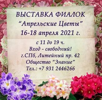 Выставки фиалок в москве в 2024 году