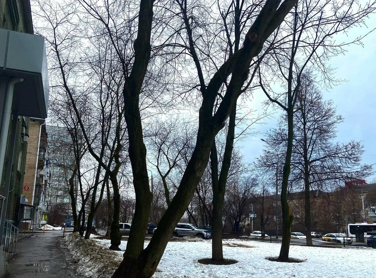 Пермь март. Пермь в феврале. На этой неделе в прикамье похолодает до +6 градусо. Жизнь март пермь. Пермь март.