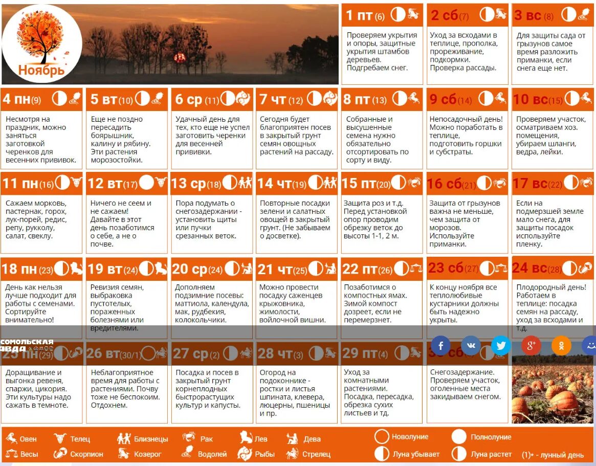 Календарь садовода лунный календарь 2021. Таблица посевного лунного календаря огородника на 2021 год. Посадочный календарь на 2021 года садовода и огородника. Лунный посевной календарь на 2021 год садовода и огородника.