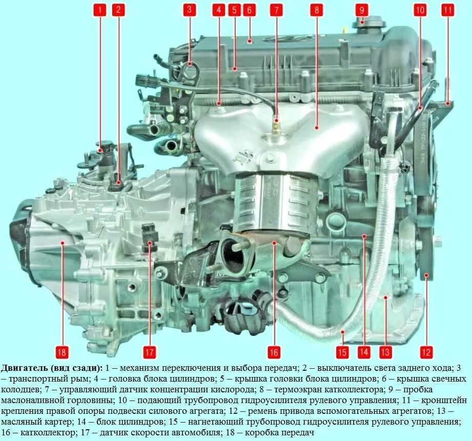 Устройство киа рио 3. Схема двигателя Солярис 1.4. Устройство двигателя Киа Рио 1.6. Двигатель Хендай Солярис 1.6 в разрезе. Расположение двигателя Хендай Солярис 1.6.