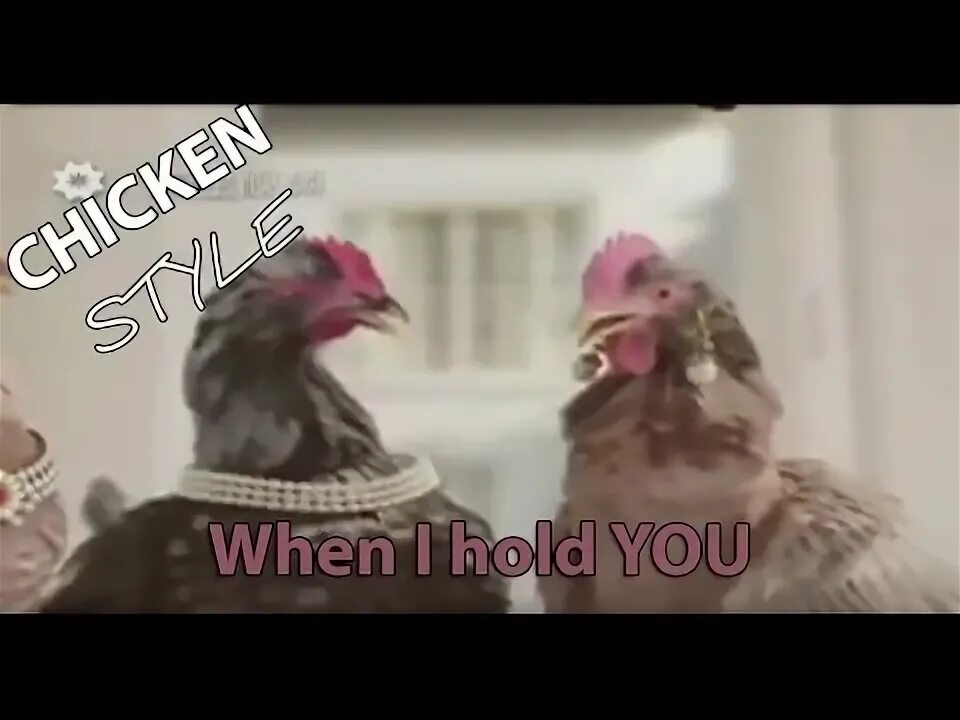 Слушать песню куры. Курица поет Chicken Song. Клип с курицей. Песня про курицу. Курицы поют песню.