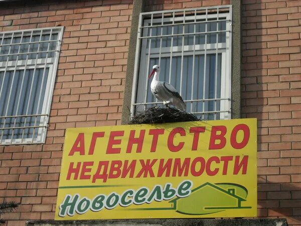 Агентство новоселье рязань сотрудники. Агентство недвижимости маяк майкоп. Агентство майкоп. Ооо "юмакс" логотип. Рекламные агентства майкоп.