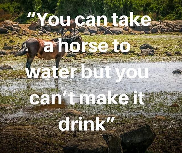 You can take a Horse to Water. You can take a Horse to Water but you cannot make him Drink перевод. You can make a Horse to Water can't. You can take a Horse to the Water but you can’t make him Drink. На русском. Cannot make it