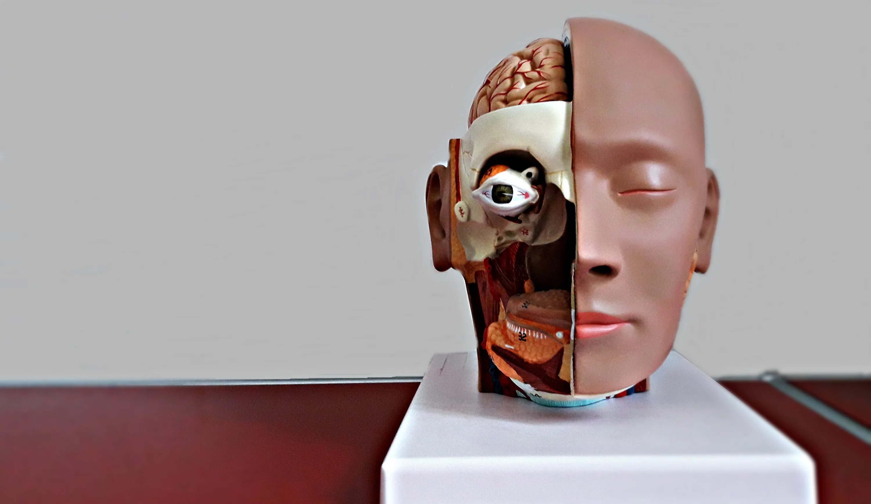 Модель в медицине. 3д моделирование в медицине. 3d модели медицина. 3д модели в медицине. медицинская сфера 3д моделирование.