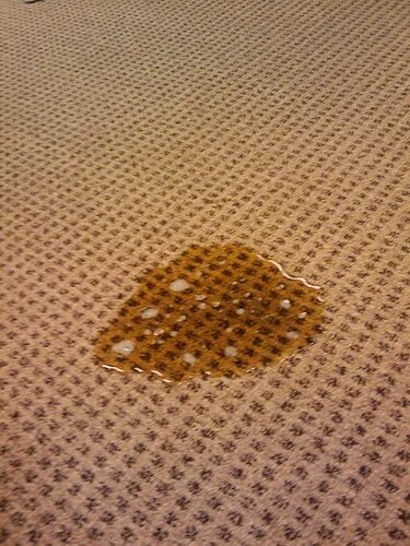 Моющее средство от запаха мочи кошек. Вывести запах кошачьей мочи с дивана. Разводы на матрасе от мочи. Средство от пятен мочи на матрасе. Пятновыводитель мочи для матраса.