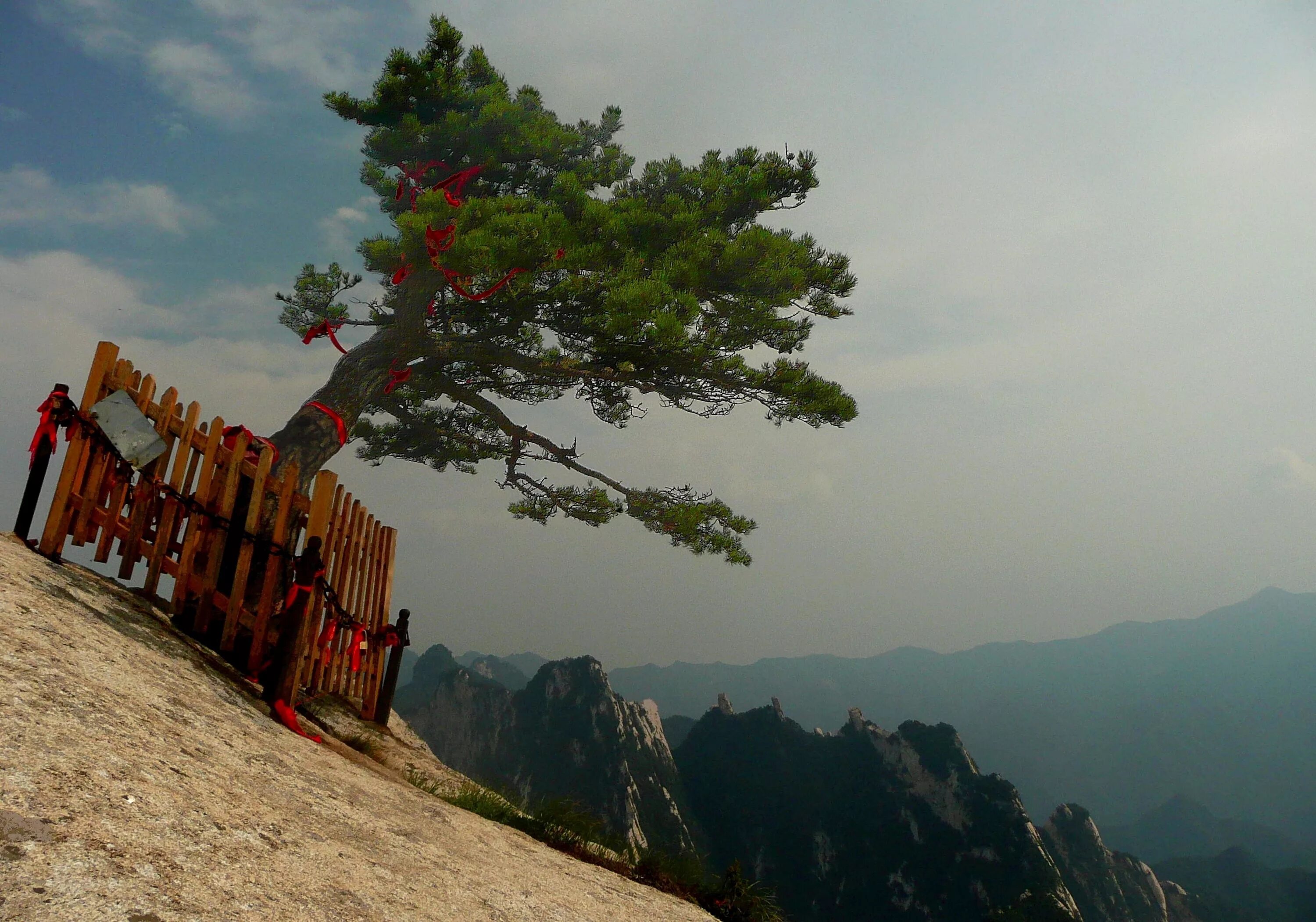 Китайский hill 2. Деревья в Китае. Китайские деревья в горах. Национальное дерево Китая. Китай отдых в горах.