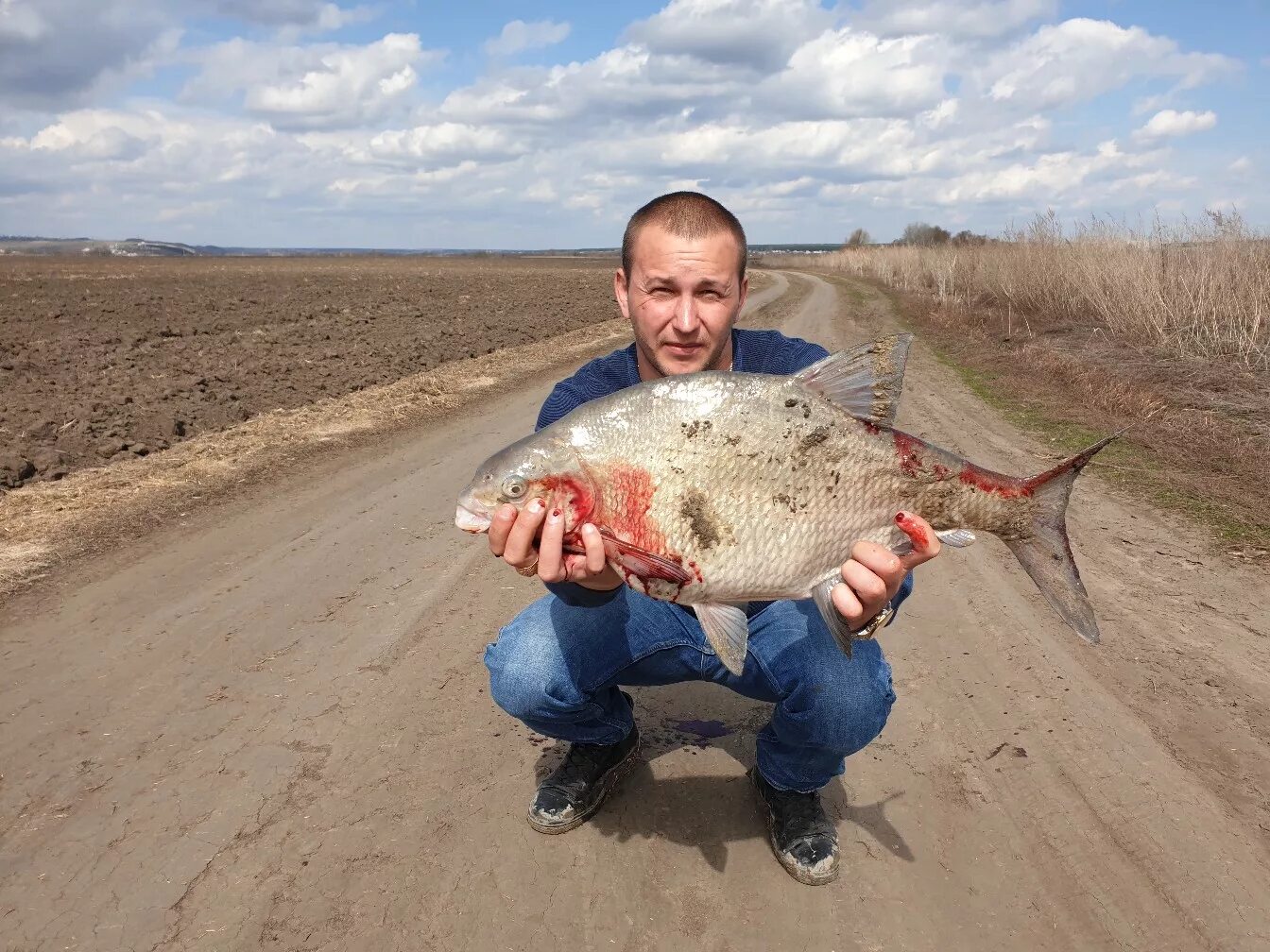 Река дон какая рыба. Дон Шилово рыбалка. Рыбалка на реке Дон Воронежская область. Рыба в Дону Липецкой области. Рыбы Воронежской области.