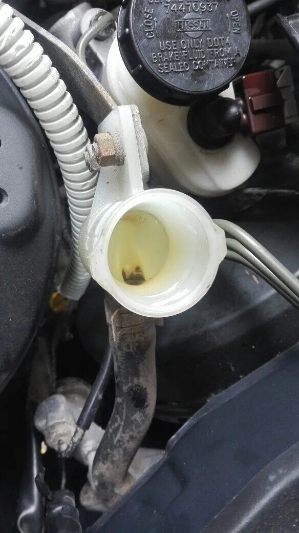 Ушла жидкость сцепления. Бачок жидкости сцепления suzuki sv 1000. Бачок жидкости сцепления toyota. Ушла жидкость сцепления. Бачок тормозной жидкости daewoo nexia.